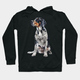 Bluetick Coonhound Hoodie